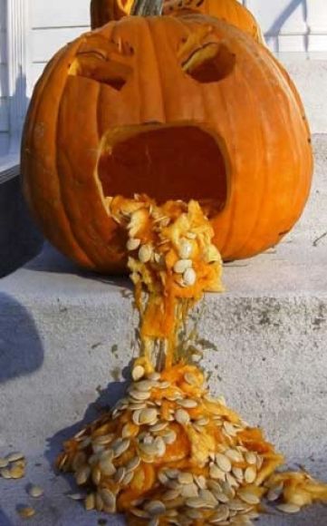 citrouille 1.jpg